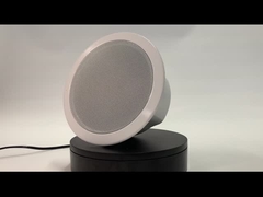 FIP-906 IP POEの天井のスピーカー