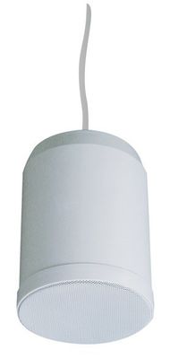 10W 20Wの屋内掛かる吊り下げ式のスピーカーPAシステム